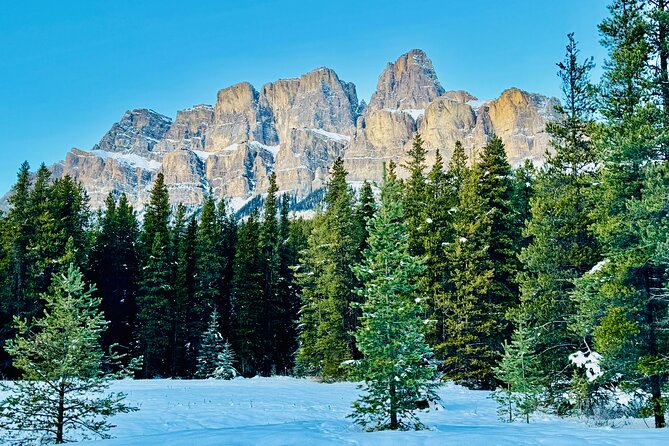 ShuttleBus 2way Banff to Lake Louise (1Hr) and Moraine Lake (1Hr) - Price and value: what $149.45 gets you, and when it’s a smart choice