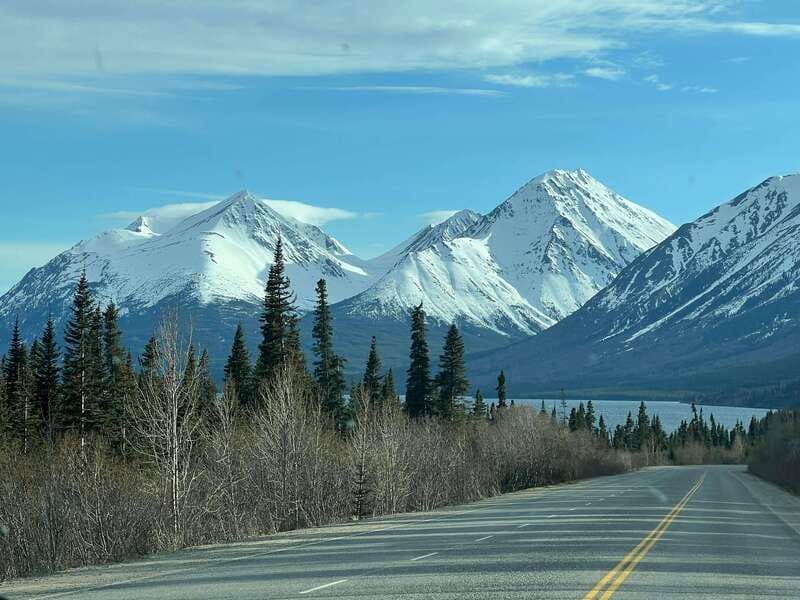 Skagway: Yukon Dog Mushing & Sightseeing Tour - Key things that make this tour worth your time