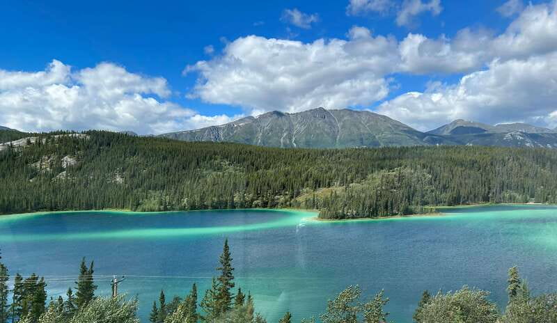 Skagway: Yukon Dog Mushing & Sightseeing Tour - Starting in Skagway: where the day really begins