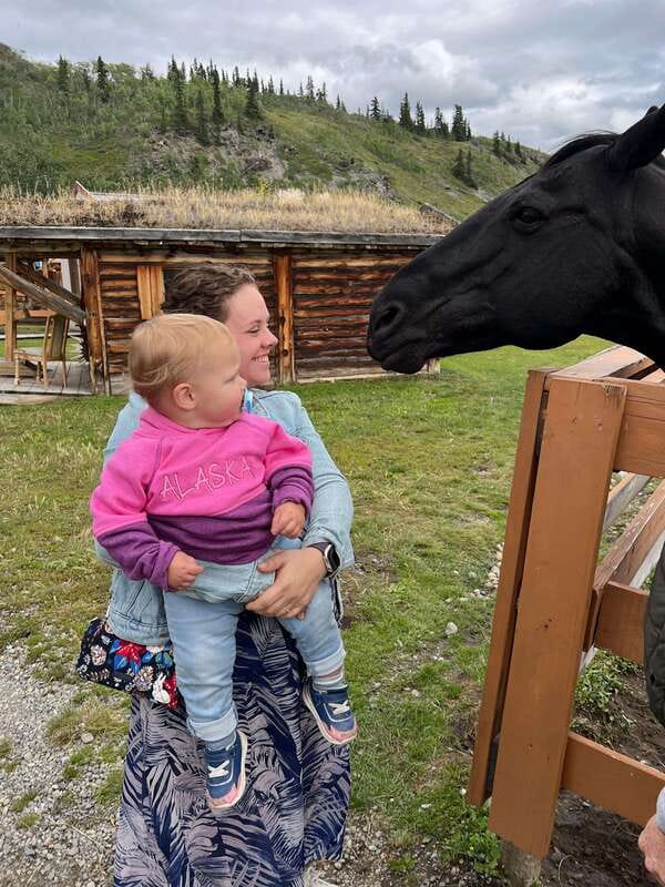 Skagway: Yukon Dog Mushing & Sightseeing Tour - Caribou Crossing Iditarod Training Camp lunch and animal time