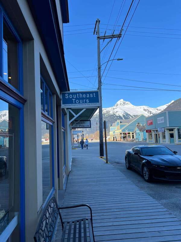 Skagway: Yukon Dog Mushing & Sightseeing Tour - Who this tour is best for