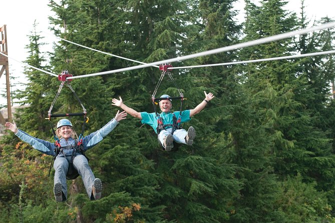 Small Group Tour: Capilano Suspension Bridge and Grouse Mountain from Vancouver - Capilano Suspension Bridge Park: Walking the Bridge, Then Moving Up Into the Trees