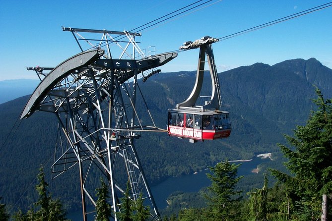 Small Group Tour: Capilano Suspension Bridge and Grouse Mountain from Vancouver - Grouse Mountain: Skyride Views, Grizzlies, and Shows That Add Meaning