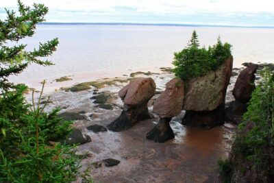 Small Group Tour – Peggy’s Cove, Lunenburg, the Annapolis Valley