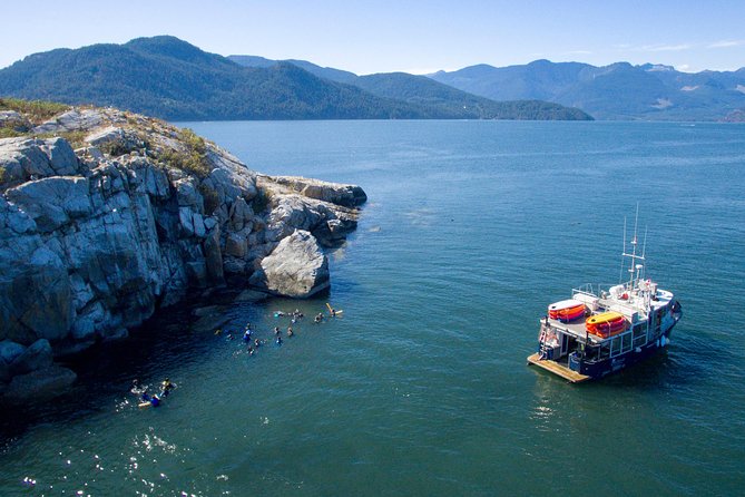 Snorkel, Kayak, and Seal Adventure: Vancouver Boat Tour - The Boat Ride to Pam Rocks: Scenery Plus Wildlife Energy