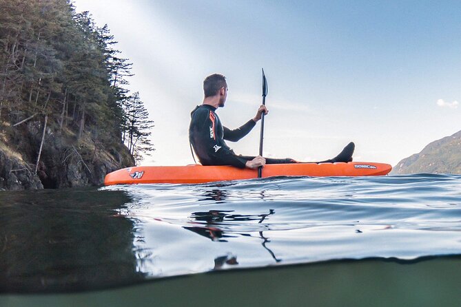 Snorkel, Kayak, and Seal Adventure: Vancouver Boat Tour - Snorkeling Among Harbor Seals: Close, Curious, and Kept Respectful