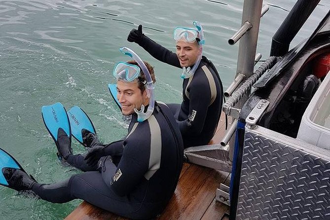 Snorkel, Kayak, and Seal Adventure: Vancouver Boat Tour - Other Wildlife and Photo Moments: What’s Extra Worth Watching For