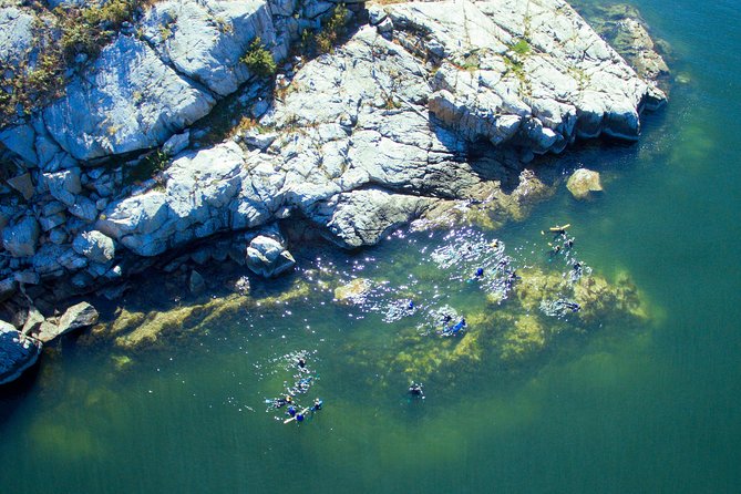 Snorkel, Kayak, and Seal Adventure: Vancouver Boat Tour - Wet Suit Up: Why Gear and Safety Make This Comfortable