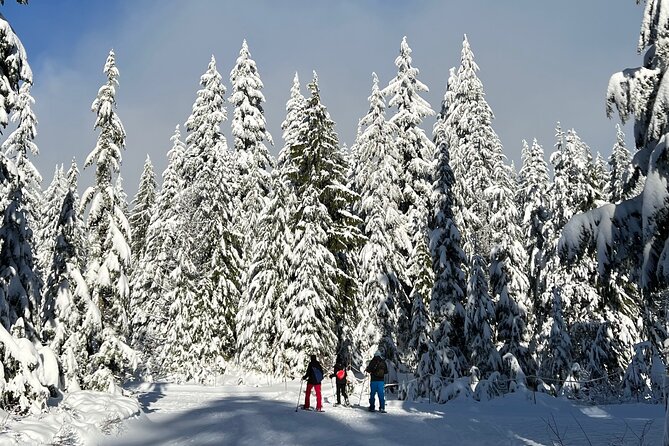 Snowshoeing At The Top Of The Sea To Sky Gondola - Snowshoeing trails: exercise, fresh air, and steady pacing