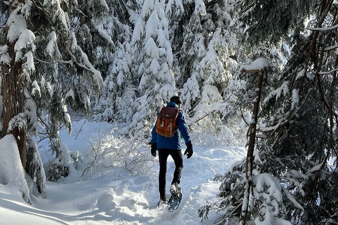 Snowshoeing At The Top Of The Sea To Sky Gondola - What you get from the guide, especially Adrian