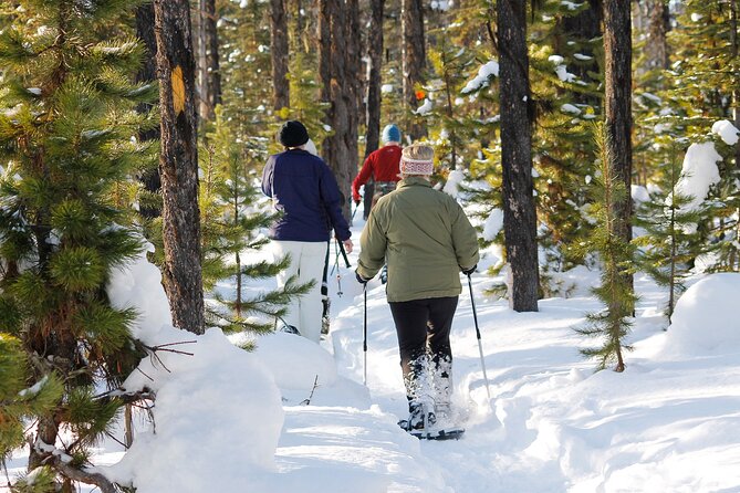 Snowshoeing At The Top Of The Sea To Sky Gondola - Price and value: is $135 worth it?