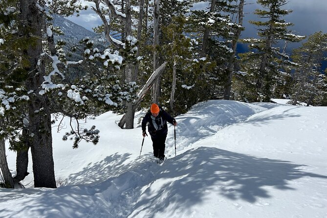 Snowshoeing At The Top Of The Sea To Sky Gondola - Riding the Sea to Sky Gondola to the Summit Lodge