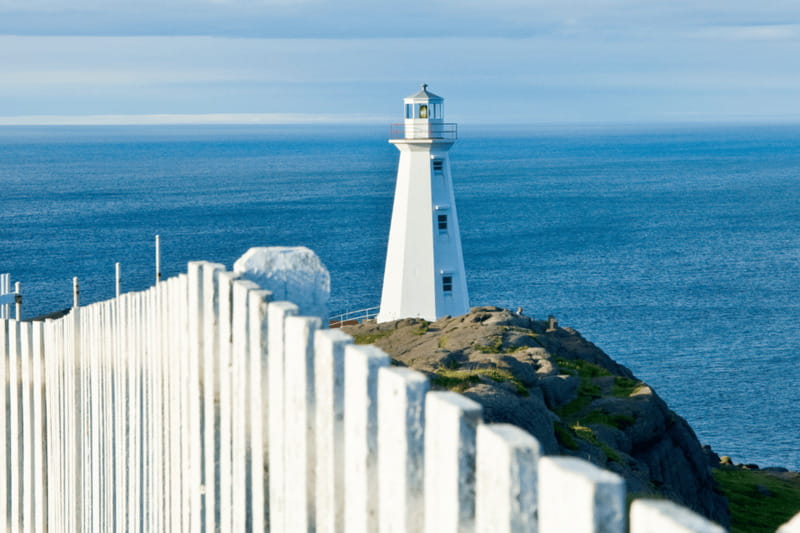 St John's Premium Driving Tour with Signal Hill & Cape Spear - Signal Hill and Cabot Tower: Military Forts Plus Marconi’s First Transatlantic Signal