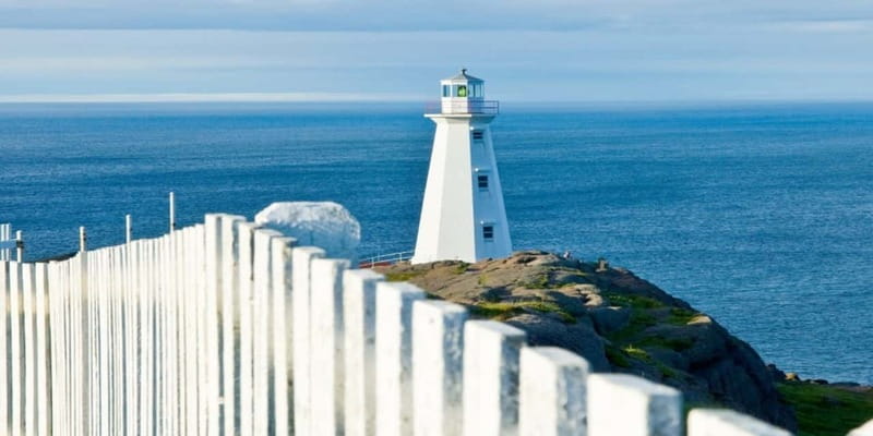 St Johns Premium Tour with Iceberg Quest Boat Cruise - Small group size: why the day feels manageable