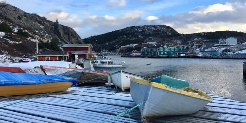 St Johns Premium Tour with Iceberg Quest Boat Cruise - Guide style is a big part of the value here