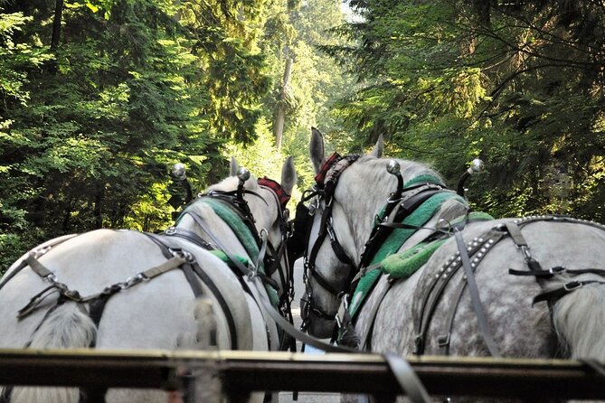 Stanley Park Horse Drawn Tour in Vancouver - Horse-drawn start point near Coal Harbour