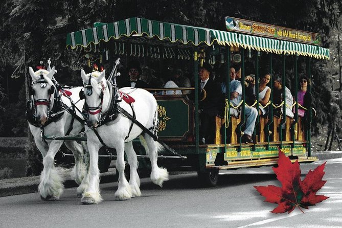Stanley Park Horse Drawn Tour in Vancouver - Why the 1-hour pace works so well in Stanley Park