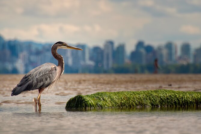Stanley Park Self Guided Bike Tour - Lost Lagoon: the “extra” highlight that feels like a bonus