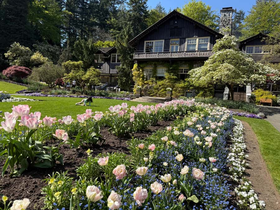 Stanley Park Tour by Car:Small Group Value,See More,Pay Less - Price and value: what $93 actually buys you