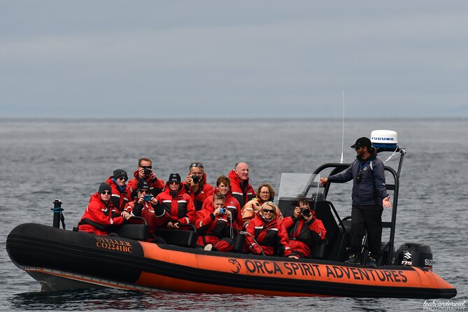 Summer Whale Watching Tour in a Zodiac Boat in Victoria - The 3-Hour 20-Minute Rhythm on the Water