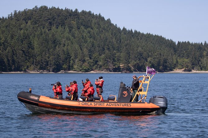 Summer Whale Watching Tour in a Zodiac Boat in Victoria - The Free Rebooking If You Don’t Spot Whales