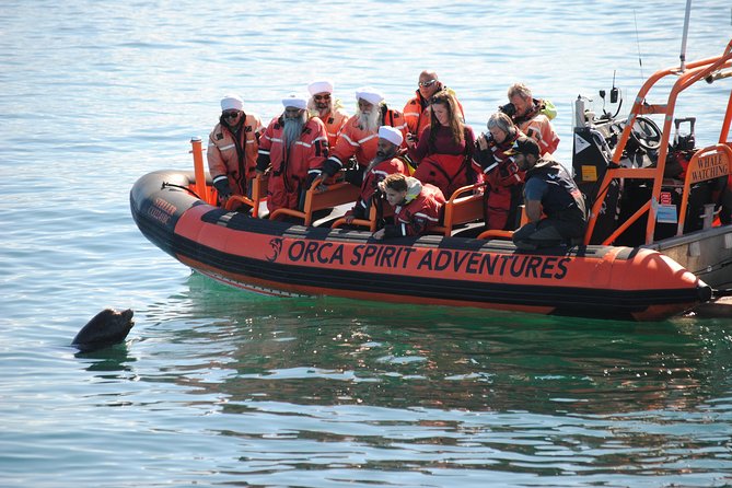 Summer Whale Watching Tour in a Zodiac Boat in Victoria - Guides, Safety, and Why People Keep Mentioning the Crew