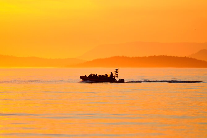 Sunset Whale and Wildlife Adventure in Cowichan Bay - Your 4-hour flow: how the evening usually unfolds