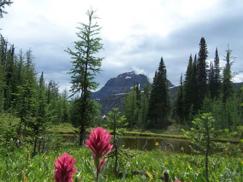 Sunshine Meadows Daily Guided Hike with Gondola - Lunch on the trail: what’s included and how to plan snacks