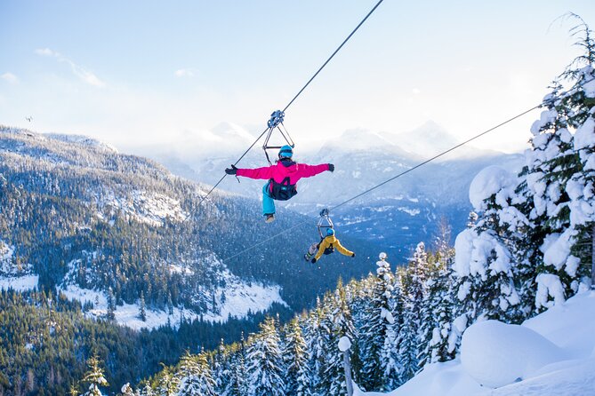 Superfly Ziplines on Cougar Mountain - includes 4 ziplines! - Key Things I Think You’ll Notice Right Away