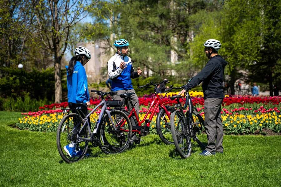 Swim and Bike River House/Rockcliffe - Who should book this, and who might not