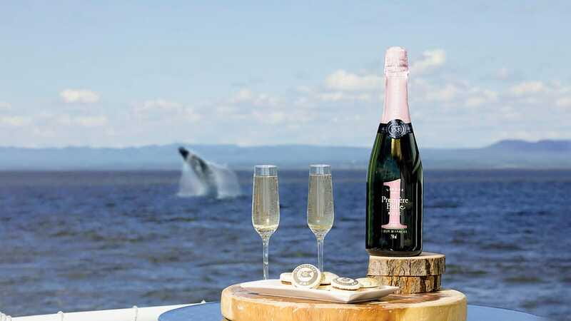 Tadoussac/Charlevoix: VIP Lounge OR UpperDeck Whale Watching - The 3-Hour Itinerary: What Each Stop Adds to Your Trip