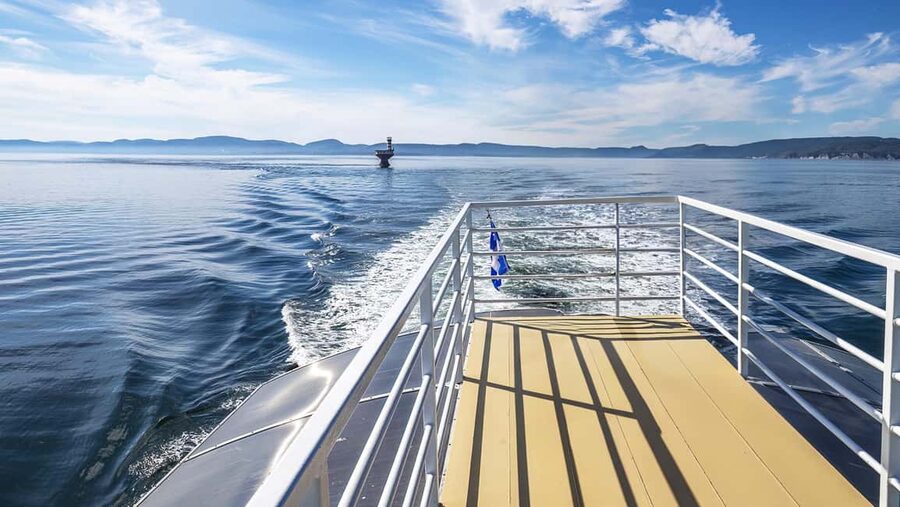 Tadoussac/Charlevoix: VIP Lounge OR UpperDeck Whale Watching - What the Guides Actually Do for Your Sightings