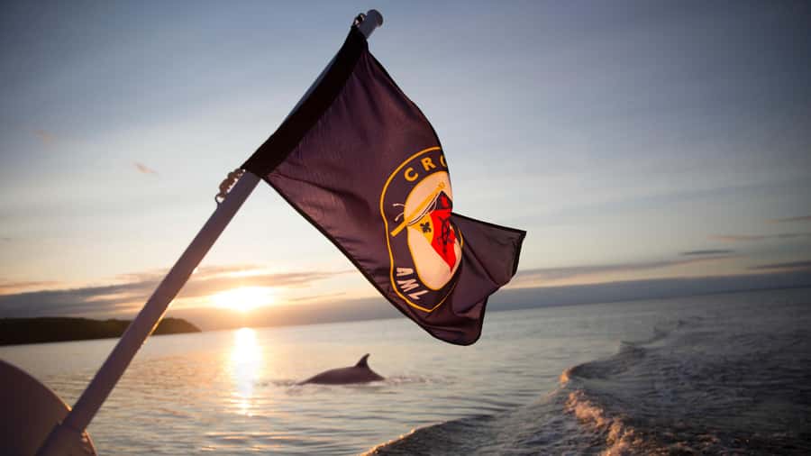 Tadoussac/Charlevoix: Whale & Fjord Morning or Twilight Tour - Why Tadoussac and Charlevoix are made for whale watching