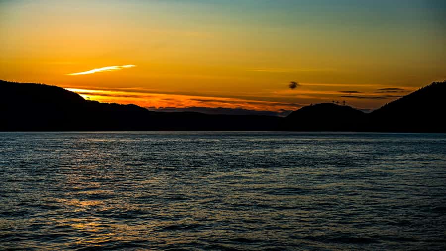 Tadoussac/Charlevoix: Whale & Fjord Morning or Twilight Tour - Who this whale and fjord tour is best for