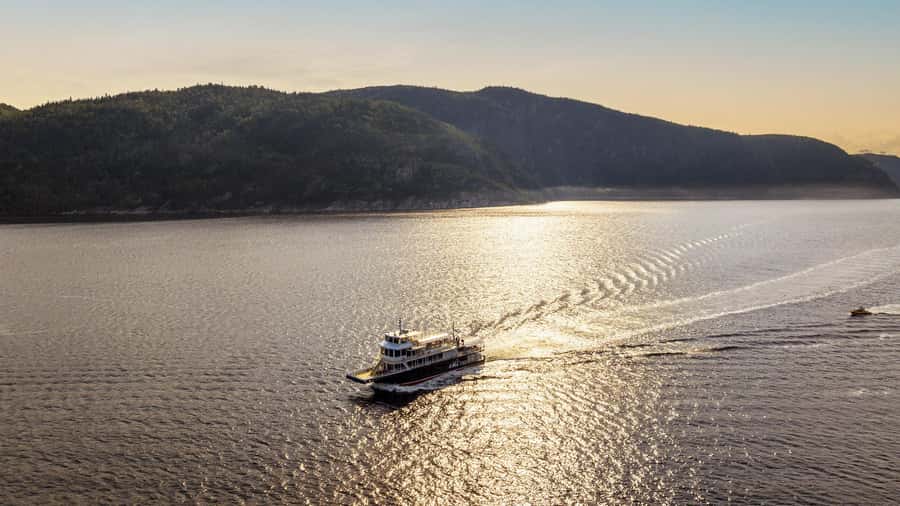 Tadoussac/Charlevoix: Whale & Fjord Morning or Twilight Tour - 3 hours on the water: what the cruise day feels like