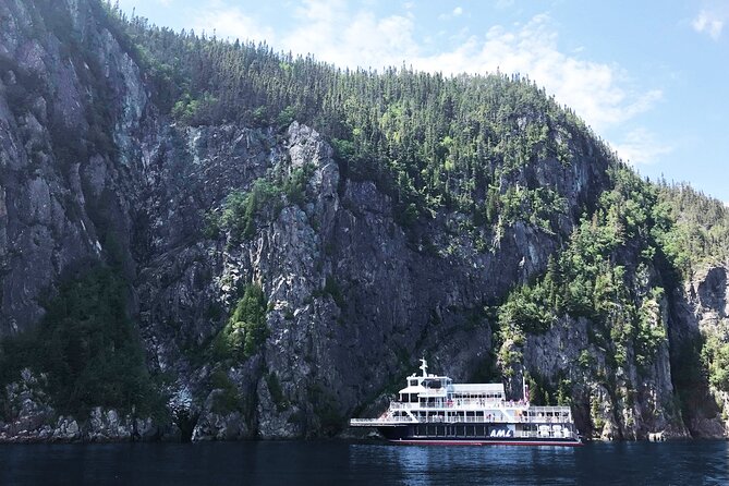 Tadoussac/Charlevoix: Whale Watching Tour - Tadoussac or Baie-Ste-Catherine, same marine park experience