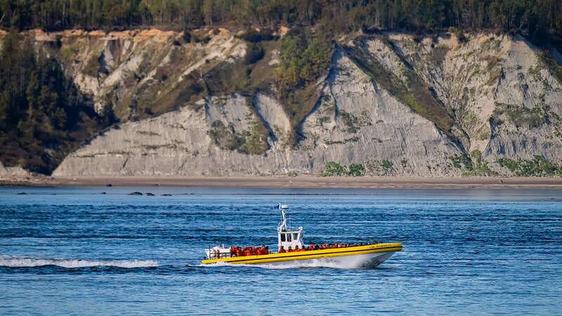 Tadoussac/Charlevoix: Whale Watching Tour & Bear Observation - Whale-Watching Ethics That Actually Affect Your Experience