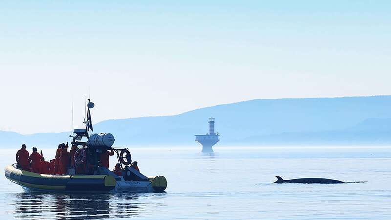 Tadoussac/Charlevoix: Whale Watching Zodiac Tour - Route walkthrough: Prince Shoal Light, Pointe-Noire, and the other named stops