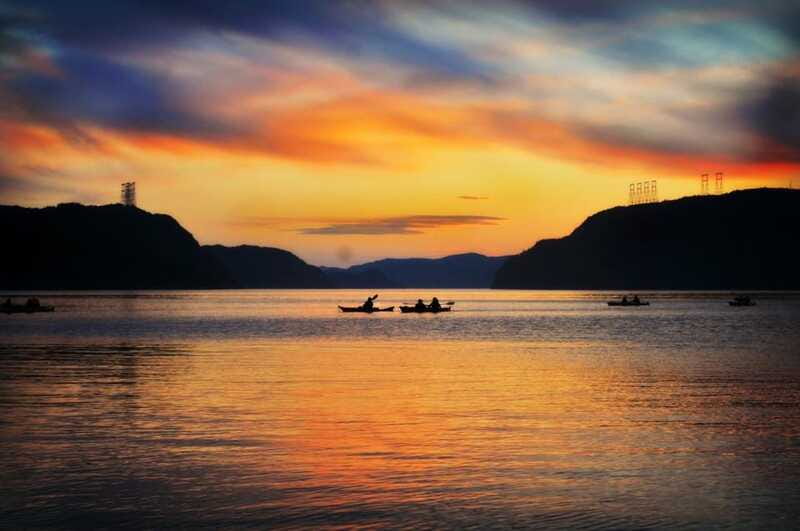 Tadoussac: Guided Sea Kayaking Adventure - Wildlife Watching Tips That Actually Help
