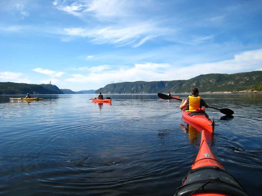 Tadoussac: Guided Sea Kayaking Adventure - Comfort and Weather Planning: Wet, Cold, and Still Worth It