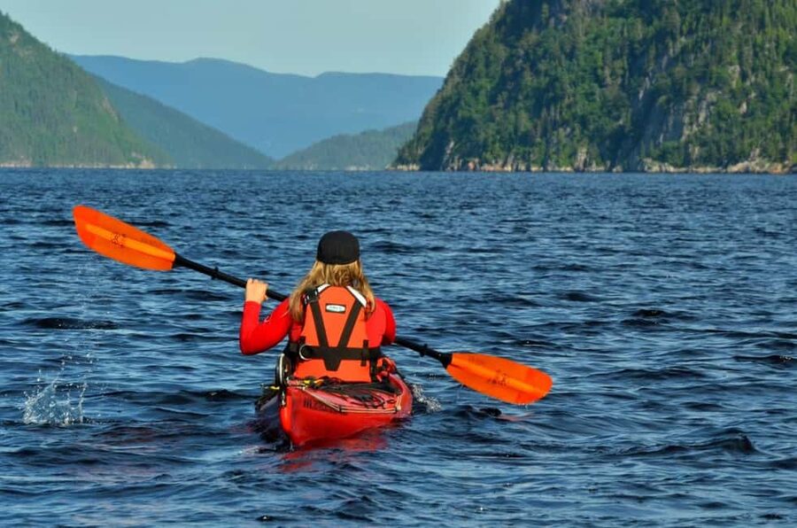 Tadoussac: Guided Sea Kayaking Adventure - Paddling the Saguenay Fjord: Cliffs, Light, and Beluga Chances