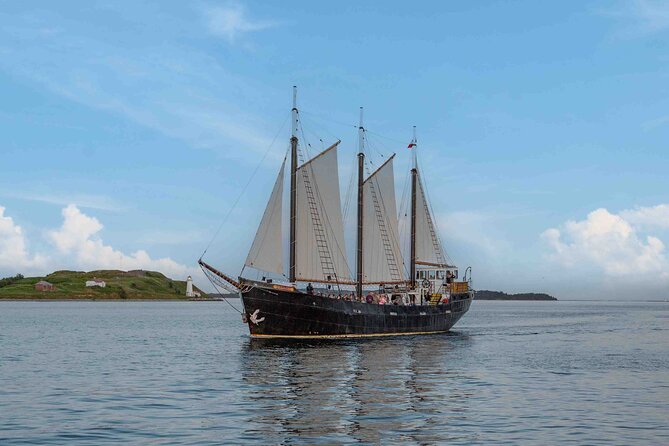 Tall Ship Silva Sailing Cruise Ft. a Live Musician - Key highlights worth circling