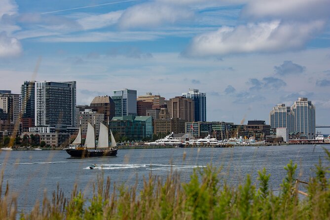 Tall Ship Silva Sailing Cruise Ft. a Live Musician - Group size on a tall ship: expect a social deck, not solitude