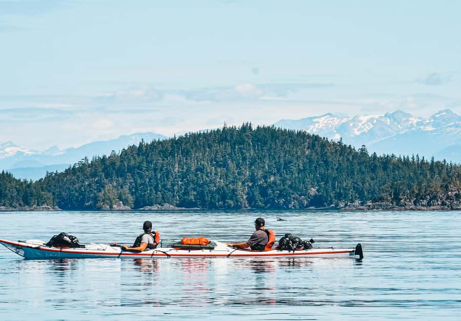 Telegraph Cove: 2-Hour Day or Evening Kayaking Tour - Key Highlights You Actually Care About
