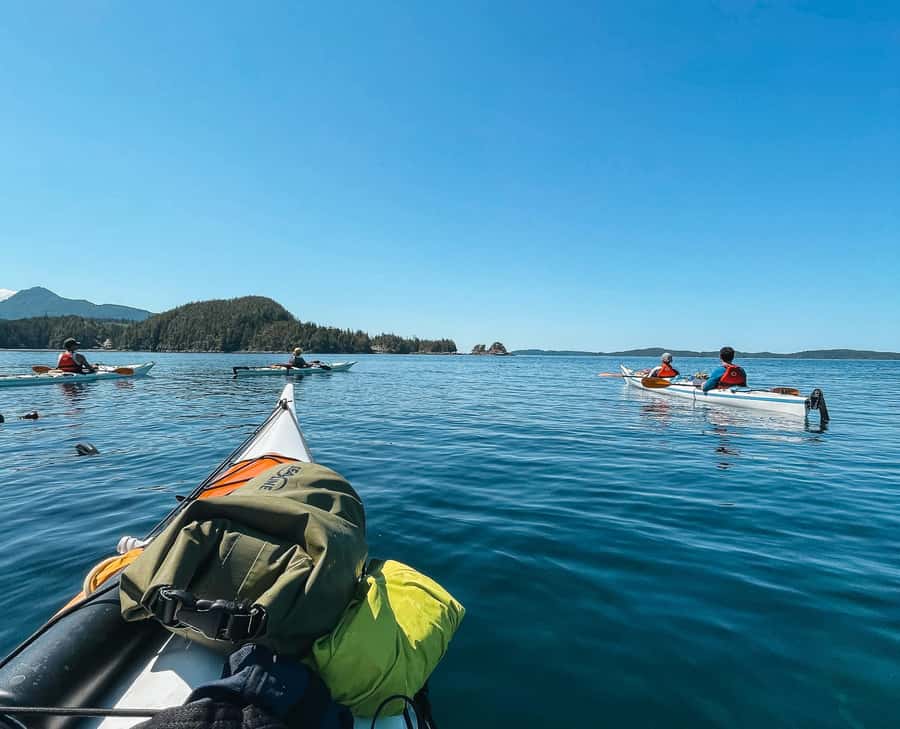 Telegraph Cove: 2-Hour Day or Evening Kayaking Tour - Telegraph Cove and Johnstone Strait: why this paddle feels special