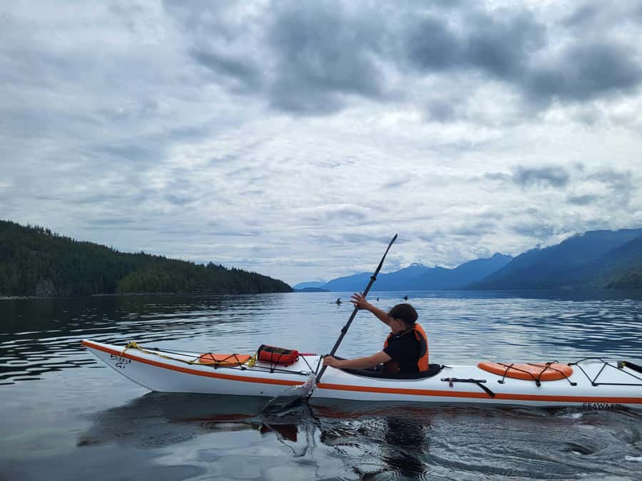 Telegraph Cove: 2-Hour Day or Evening Kayaking Tour - Gear and what to bring: you get the kayak, you supply the comfort