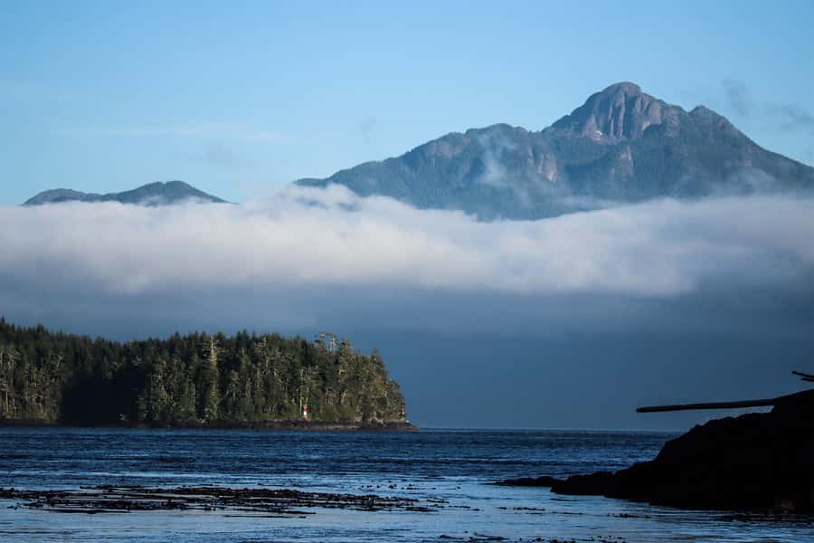 Telegraph Cove: 2-Hour Day or Evening Kayaking Tour - Who should go, and who should skip this paddle