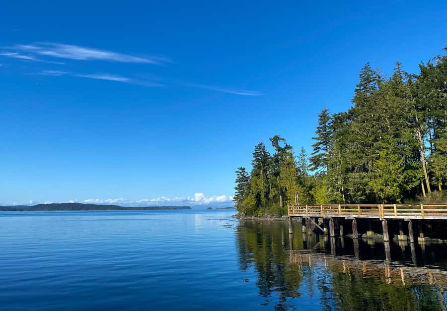 Telegraph Cove: 2-Hour Day or Evening Kayaking Tour - Meeting Point at 24 Boardwalk: start smoothly, not scrambling