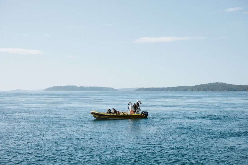 Telegraph Cove: 3-Hour Whale Watching Tour in a Zodiac Boat - What to bring, and what to skip