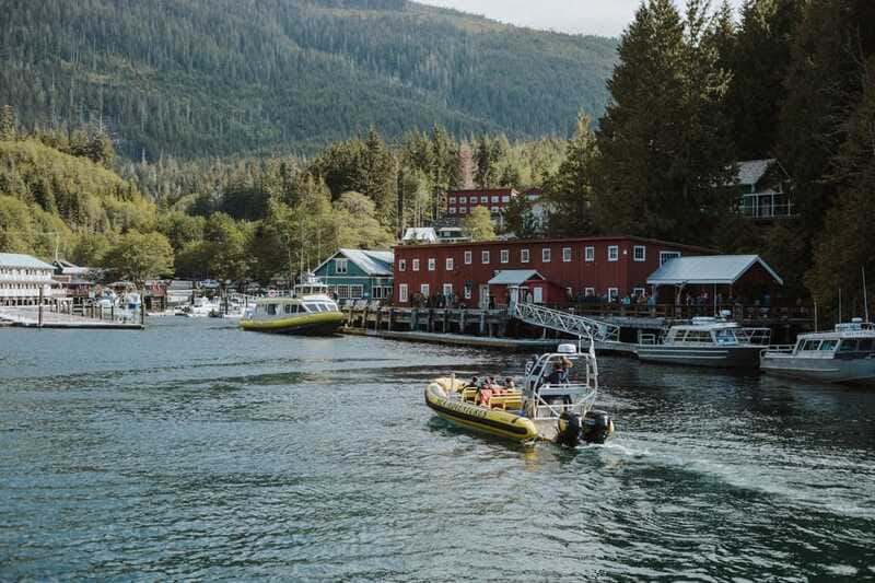 Telegraph Cove: 3-Hour Whale Watching Tour in a Zodiac Boat - Price and value: what $165 covers in the real world